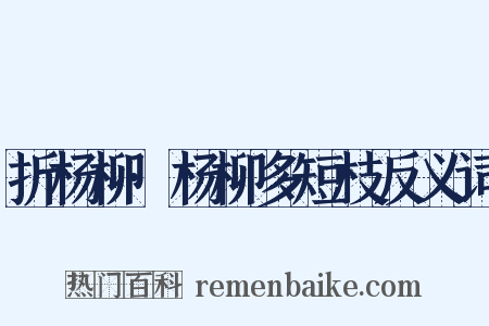 折杨柳·杨柳多短枝反义词是什么意思的图片